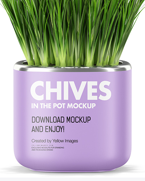 Сhives in The Pot Mockup