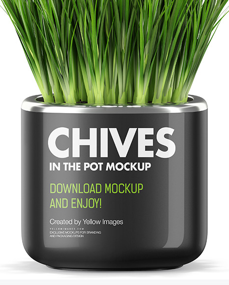 Сhives in The Pot Mockup