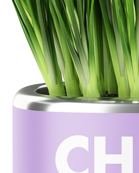 Сhives in The Pot Mockup