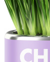 Сhives in The Pot Mockup