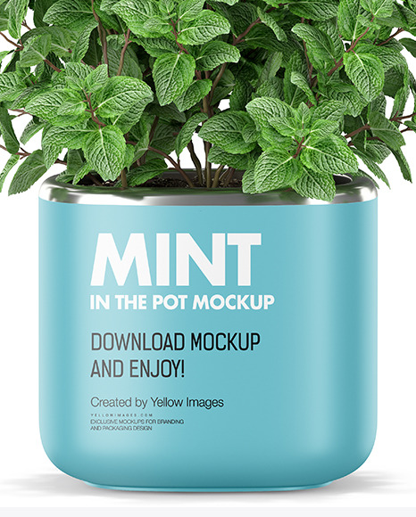 Mint in The Pot Mockup