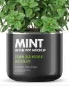 Mint in The Pot Mockup