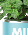 Mint in The Pot Mockup