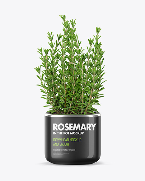 Rosemary in The Pot Mockup