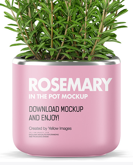 Rosemary in The Pot Mockup