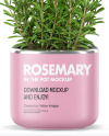 Rosemary in The Pot Mockup