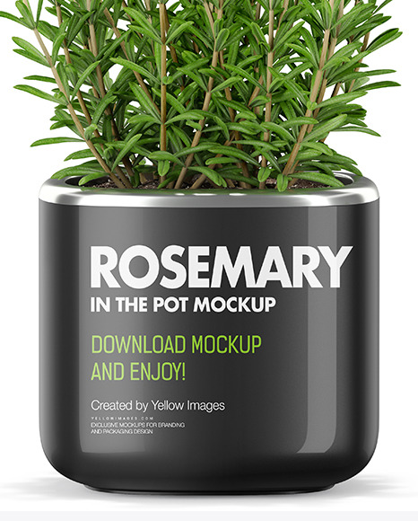 Rosemary in The Pot Mockup