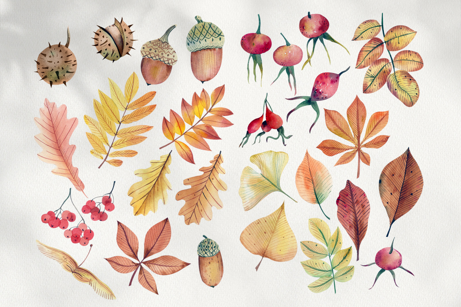 Autumn watercolor leaves clipart Autumn wreath Modern clipart with autumn leaves
