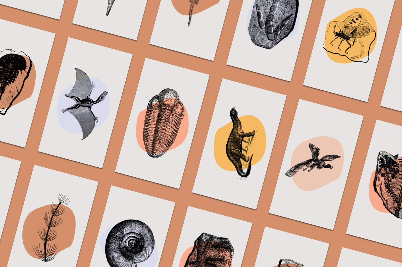 Dinosaurs & Fossils Illustrations Dinosaurs & Fossils Illustrations
