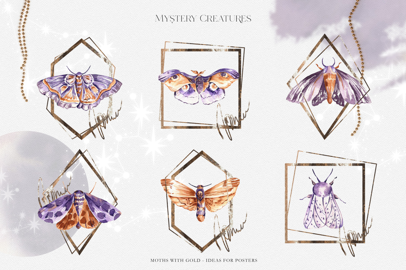 Watercolor dried flower bouquet clipart Boho floral elements. Moth watercolor clipart