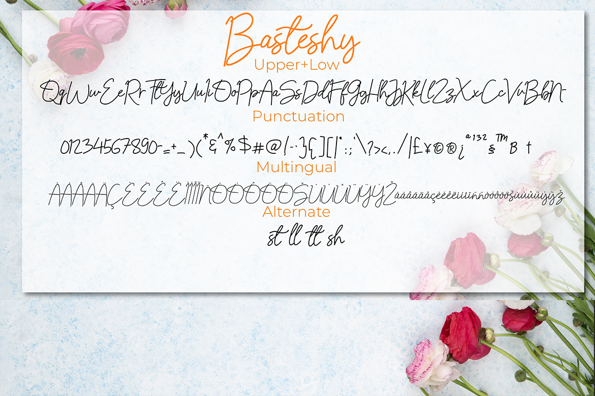 Basteshy Basteshy