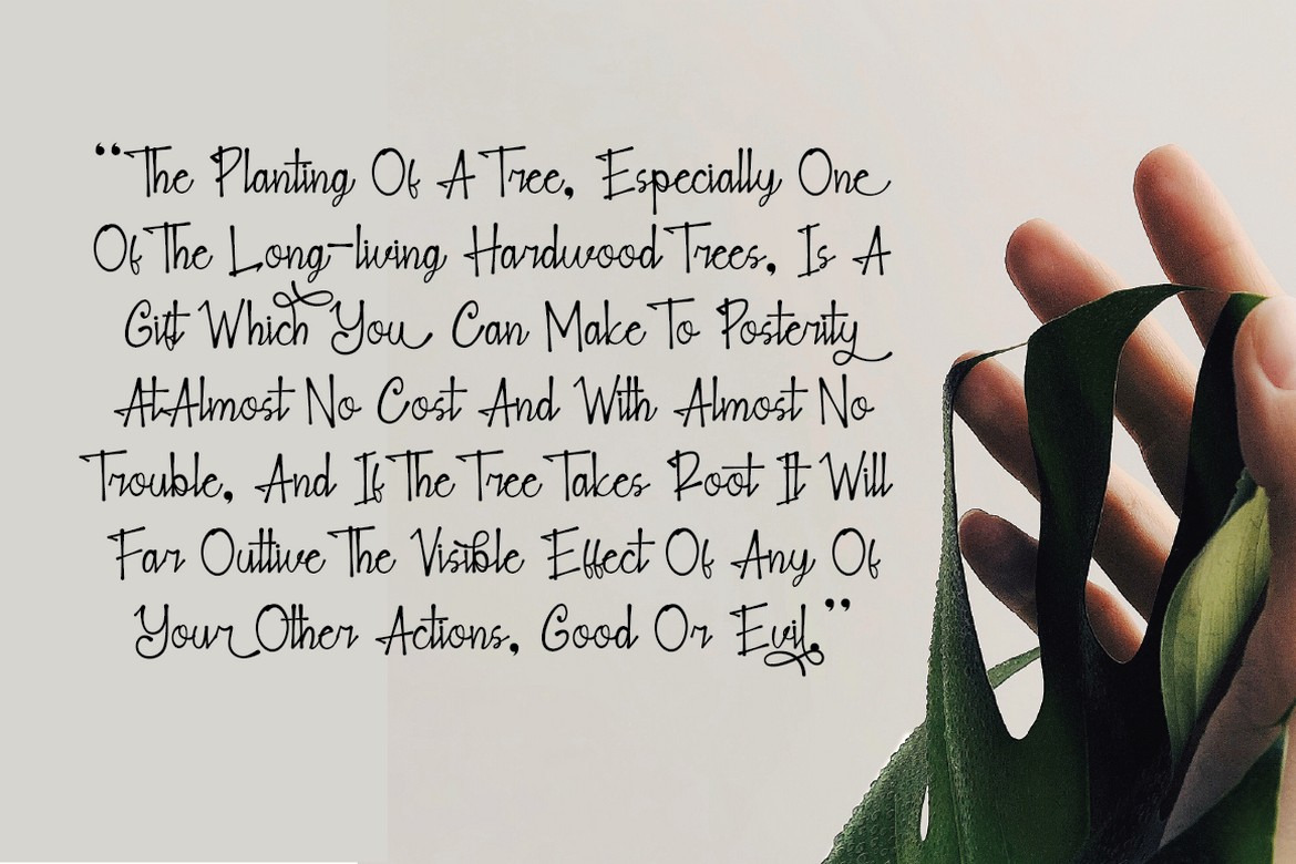 Blank Note - Ink Handwritten Font Blank Note - Ink Handwritten Font