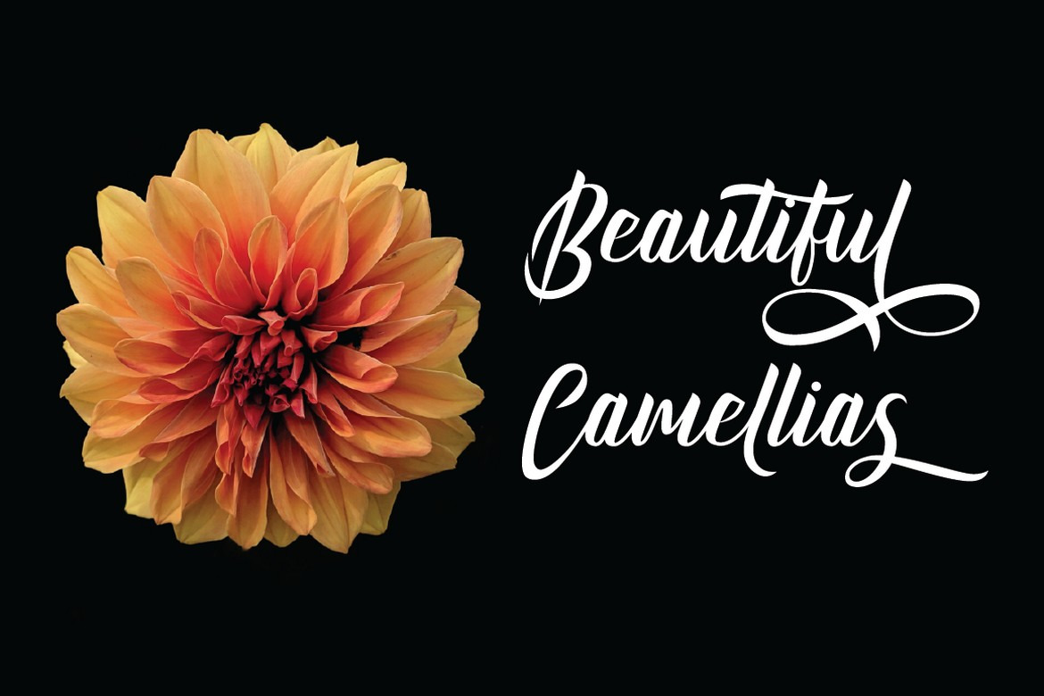 Kinghawk - Natural Handwritten Brush Font Kinghawk - Natural Handwritten Brush Font