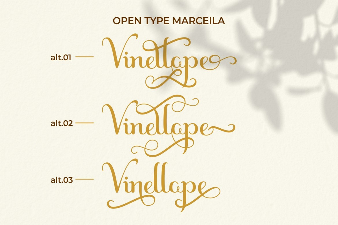 Marceila - Modern Script Font