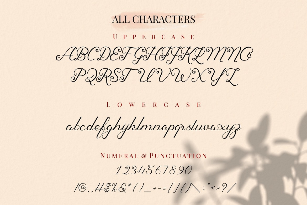 Sherley - Lovely Elegant Script Font Sherley - Lovely Elegant Script Font