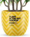 Plant in the Pot Mockup