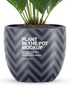 Plant in the Pot Mockup