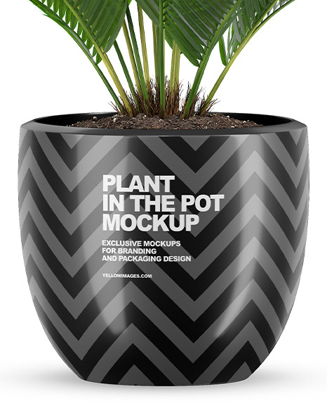 Plant in the Pot Mockup