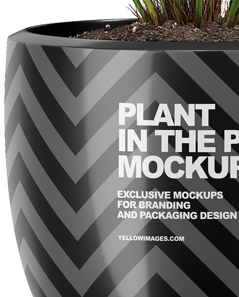 Plant in the Pot Mockup