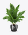 Plant in the Pot Mockup