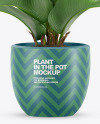 Plant in the Pot Mockup