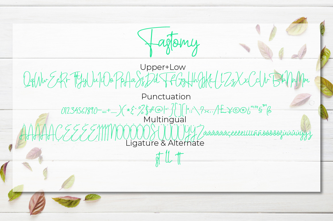Fastomy Fastomy