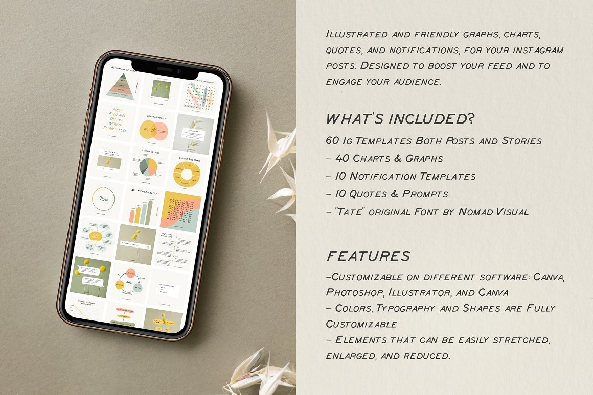 Charts and Graphs Social Kit Charts and Graphs Social Kit