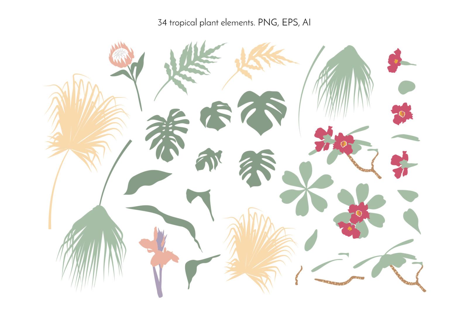 Boho Tropical Abstract Elements