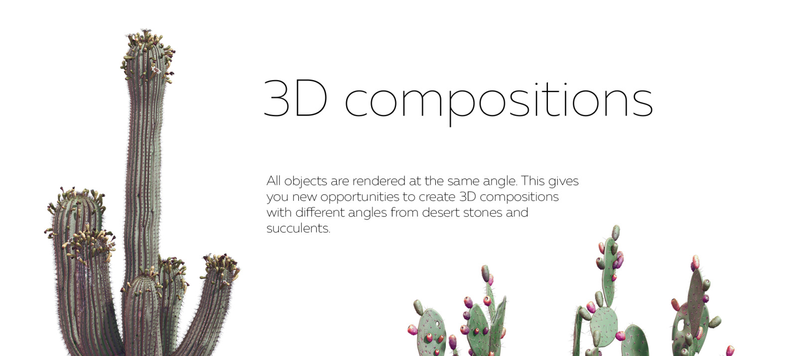 Sahara Flowers #02, 620 mockups + 53 patterns Sahara Flowers #02, 620 mockups + 53 patterns