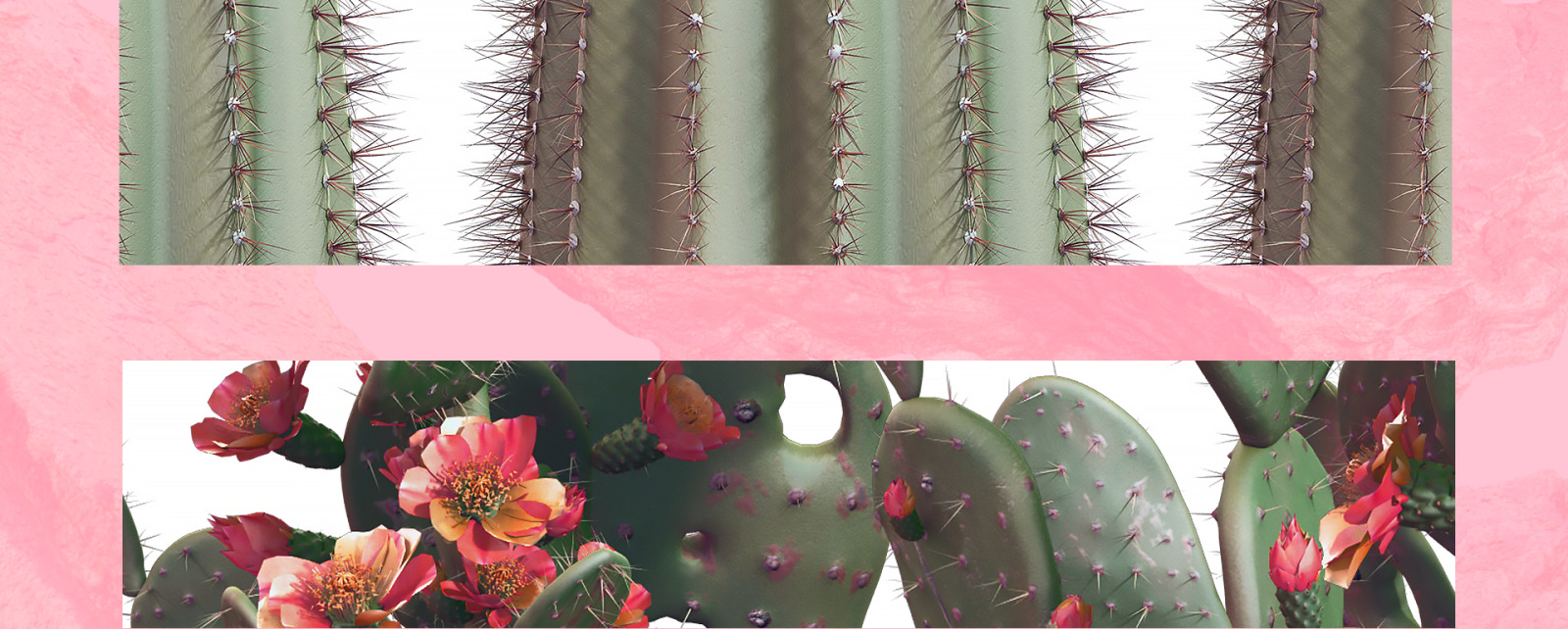 Sahara Flowers #02, 620 mockups + 53 patterns