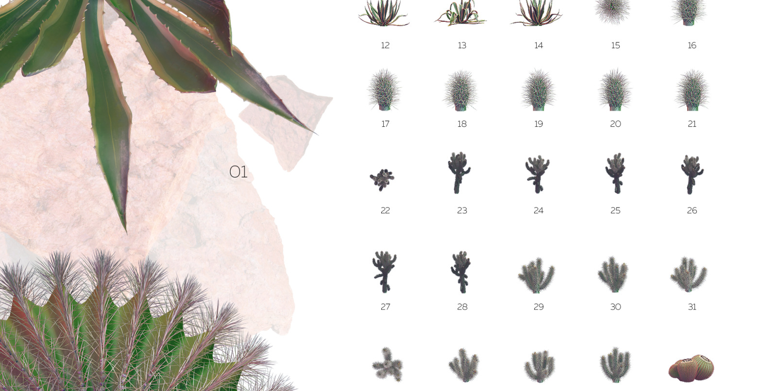 Sahara Flowers #02, 620 mockups + 53 patterns Sahara Flowers #02, 620 mockups + 53 patterns