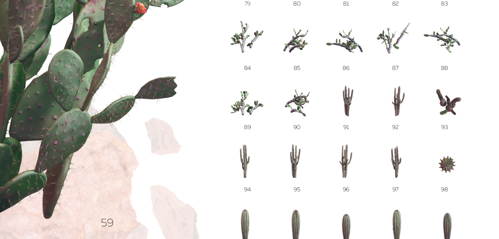 Sahara Flowers #02, 620 mockups + 53 patterns Sahara Flowers #02, 620 mockups + 53 patterns