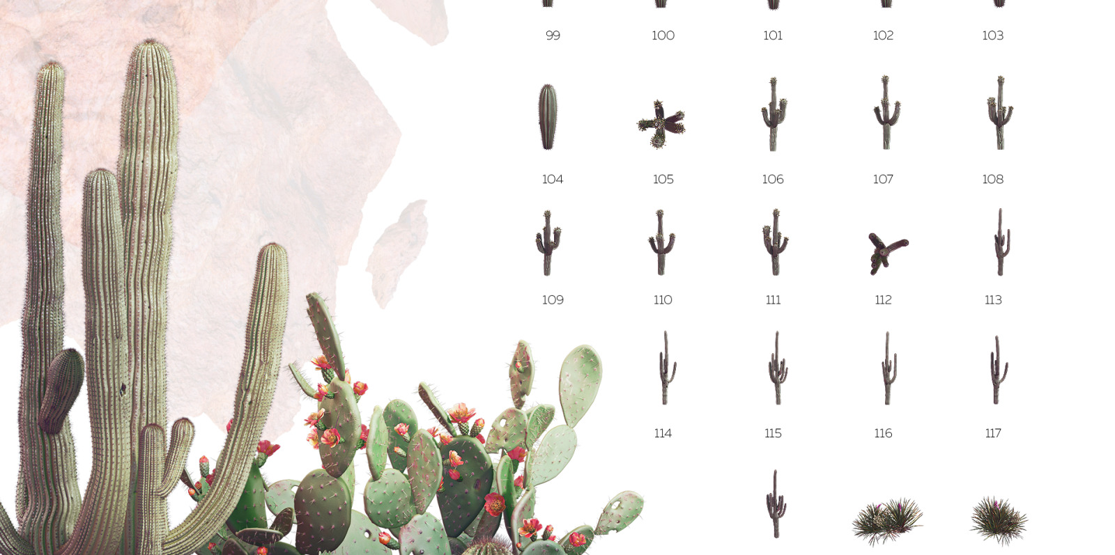 Sahara Flowers #02, 620 mockups + 53 patterns Sahara Flowers #02, 620 mockups + 53 patterns