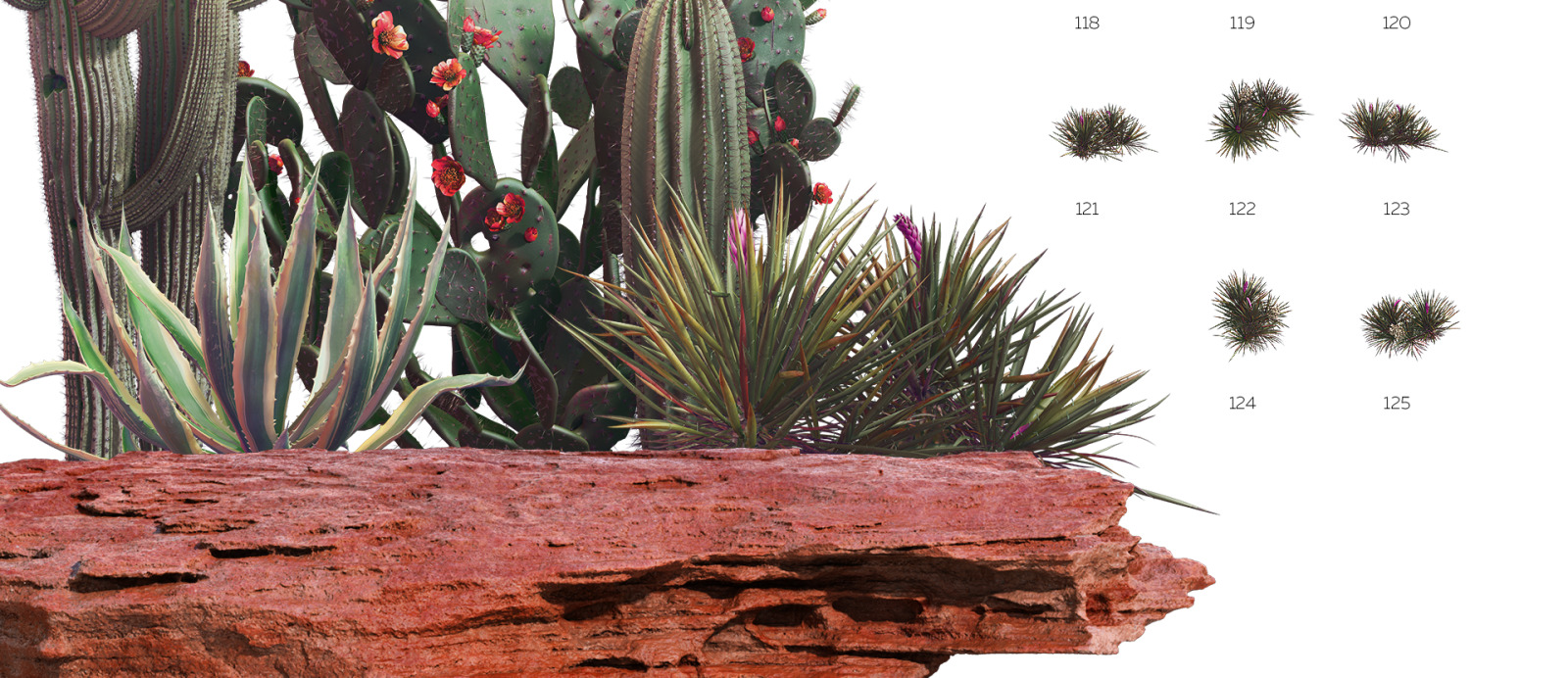 Sahara Flowers #02, 620 mockups + 53 patterns Sahara Flowers #02, 620 mockups + 53 patterns