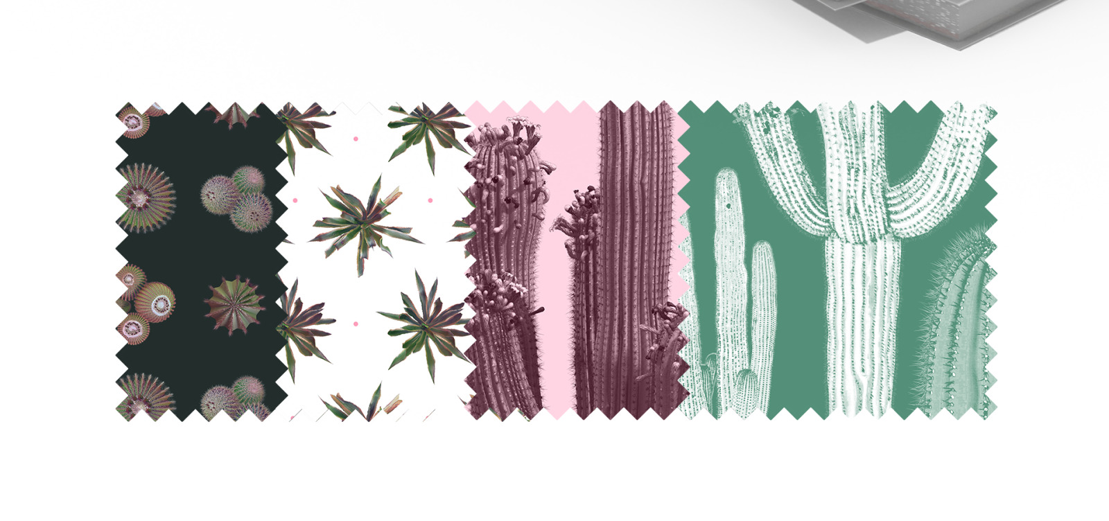 Sahara Flowers #02, 620 mockups + 53 patterns Sahara Flowers #02, 620 mockups + 53 patterns
