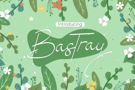 Bastray - Cute font