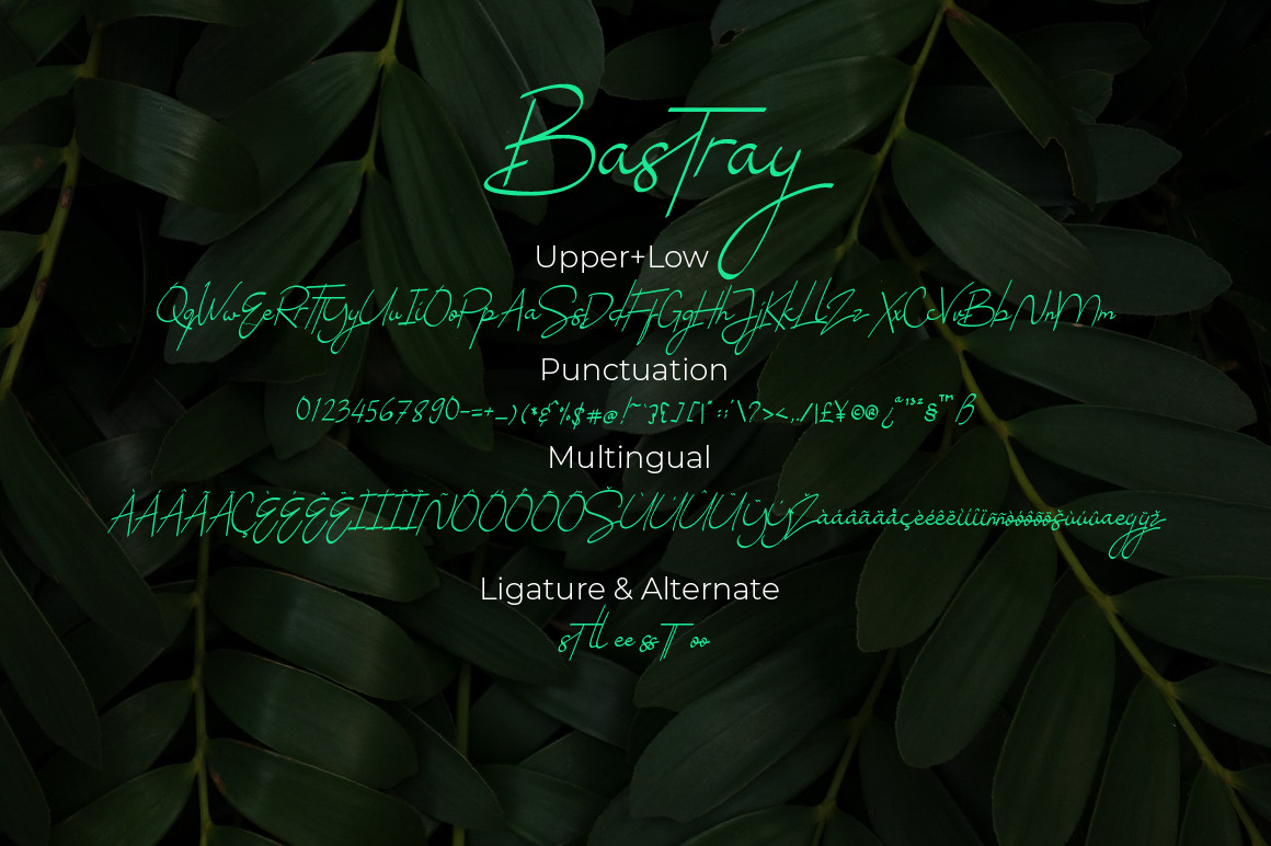 Bastray Bastray