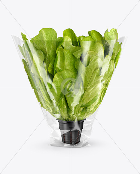 Plastic Bag With Salad Mockup