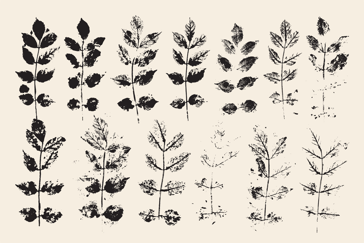 Stamped Prints of Leaves & Flowers Stamped Prints of Leaves & Flowers