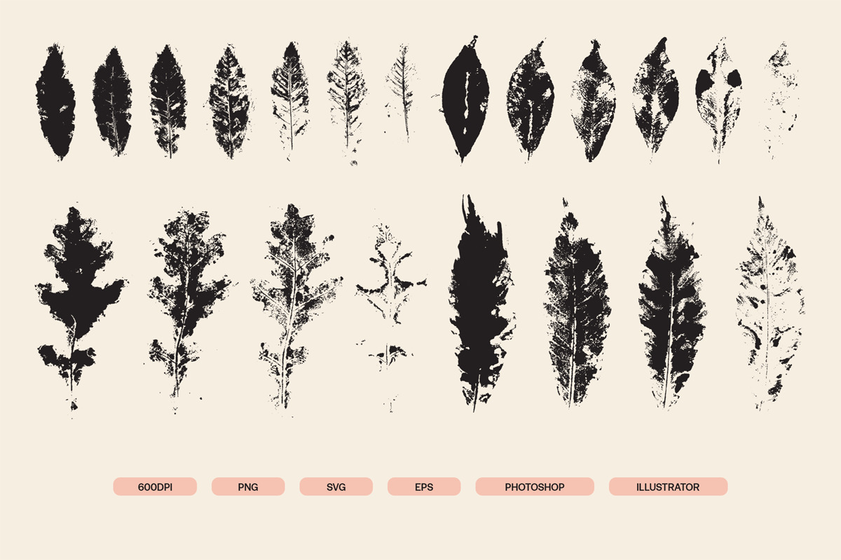 Stamped Prints of Leaves & Flowers Stamped Prints of Leaves & Flowers
