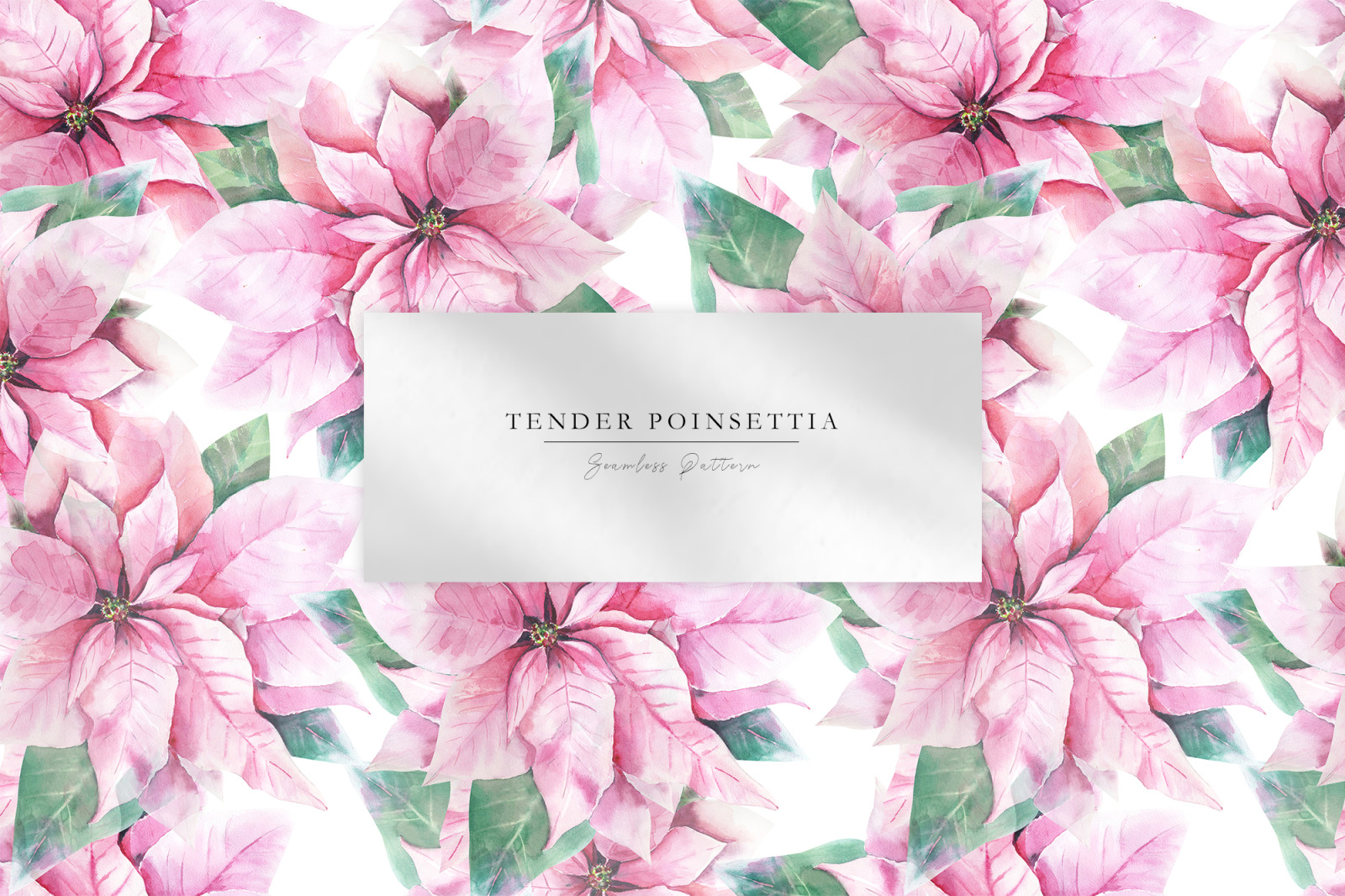 Watercolor Pink poinsettia and eucalyptus clipart, Pink Christmas decoration for digital scrapbookin Watercolor Pink poinsettia and eucalyptus clipart, Pink Christmas decoration for digital scrapbookin