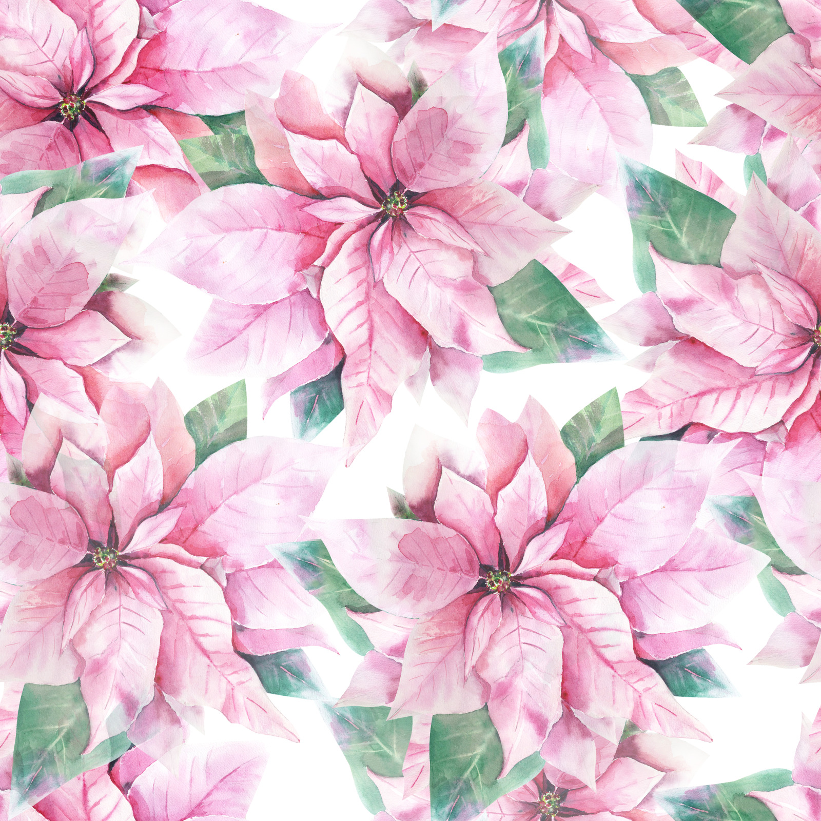 Watercolor Pink poinsettia and eucalyptus clipart, Pink Christmas decoration for digital scrapbookin Watercolor Pink poinsettia and eucalyptus clipart, Pink Christmas decoration for digital scrapbookin