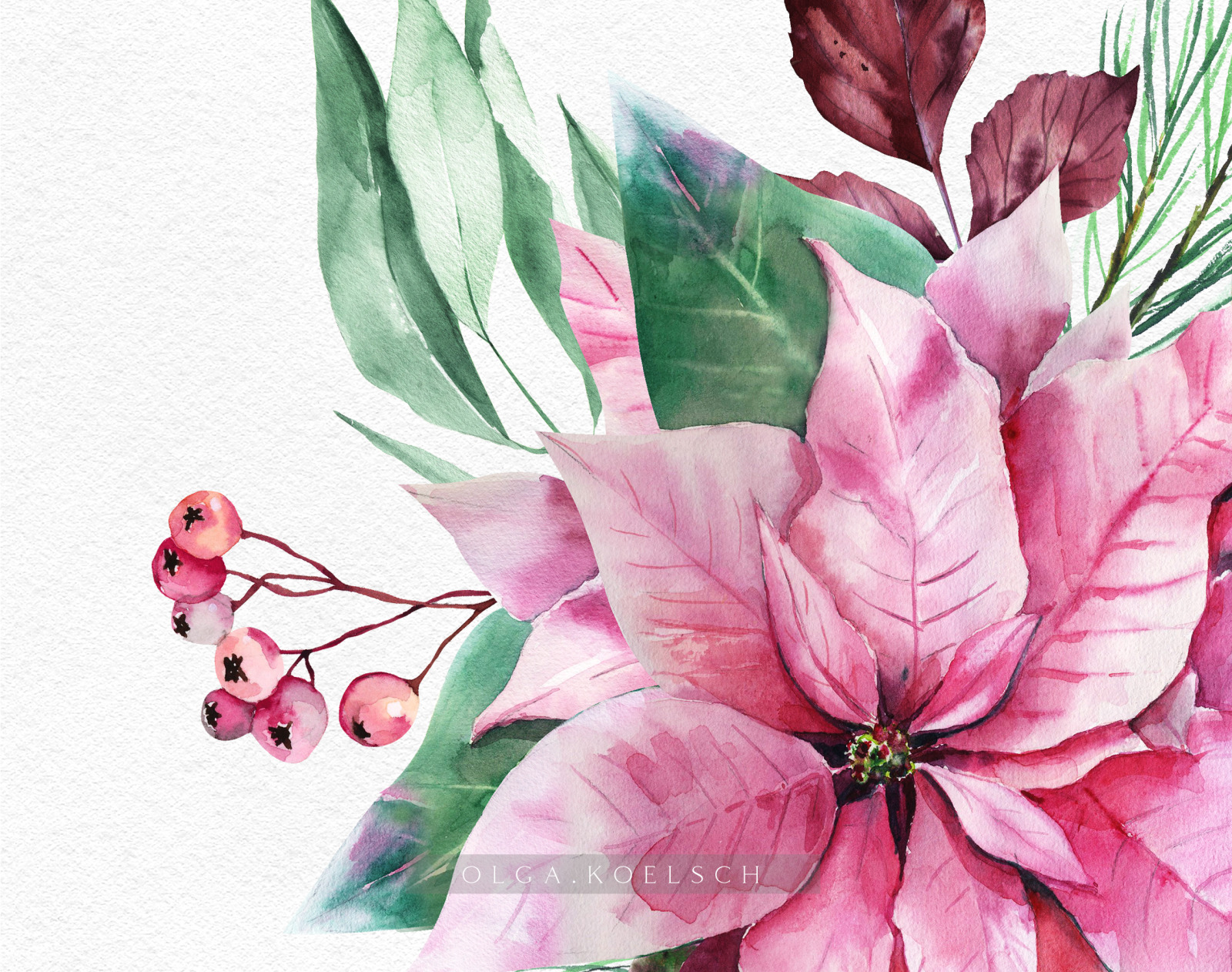 Watercolor Pink poinsettia and eucalyptus clipart, Pink Christmas decoration for digital scrapbookin Watercolor Pink poinsettia and eucalyptus clipart, Pink Christmas decoration for digital scrapbookin