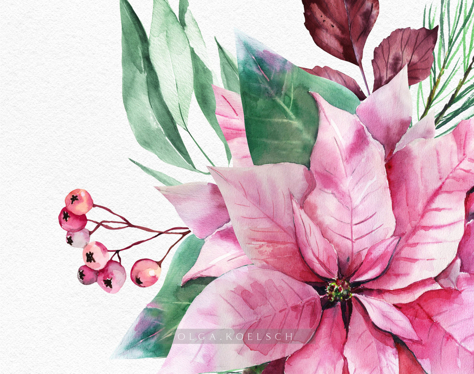 Watercolor Pink poinsettia and eucalyptus clipart, Pink Christmas decoration for digital scrapbookin