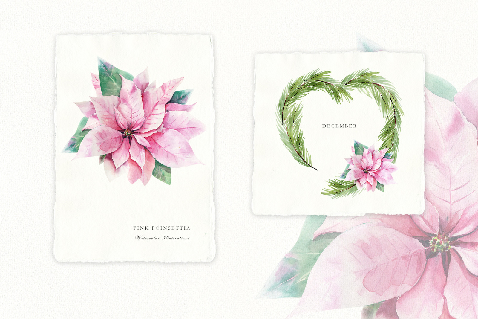 Watercolor Pink poinsettia and eucalyptus clipart, Pink Christmas decoration for digital scrapbookin Watercolor Pink poinsettia and eucalyptus clipart, Pink Christmas decoration for digital scrapbookin
