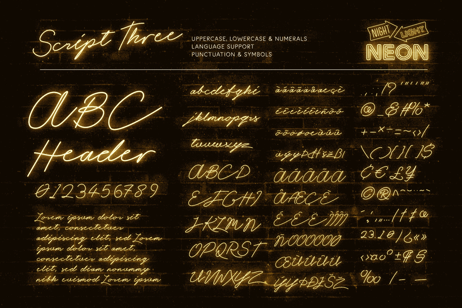 Night Light: The Complete Neon Font Collection