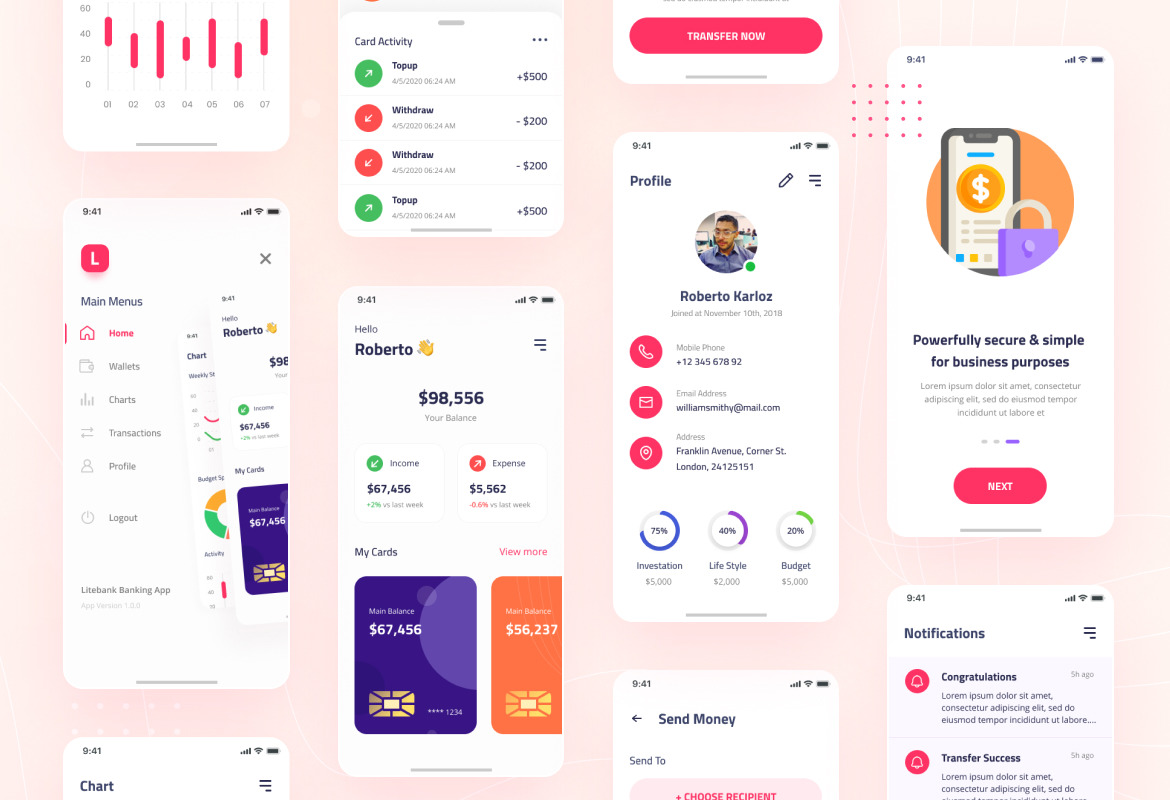 Litebank - Banking Wallet iOS App Design UI