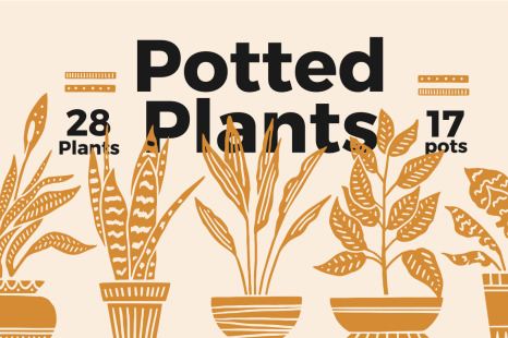 Potted Plants - Flower pot