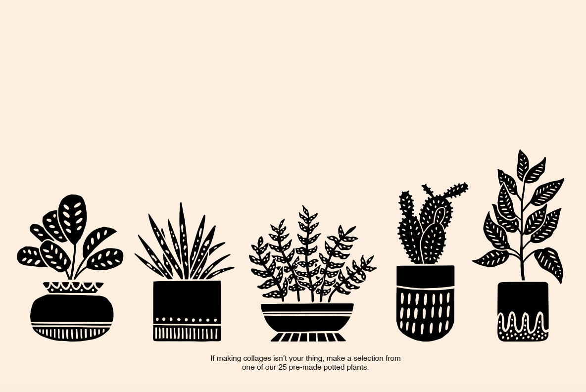 Potted Plants Potted Plants