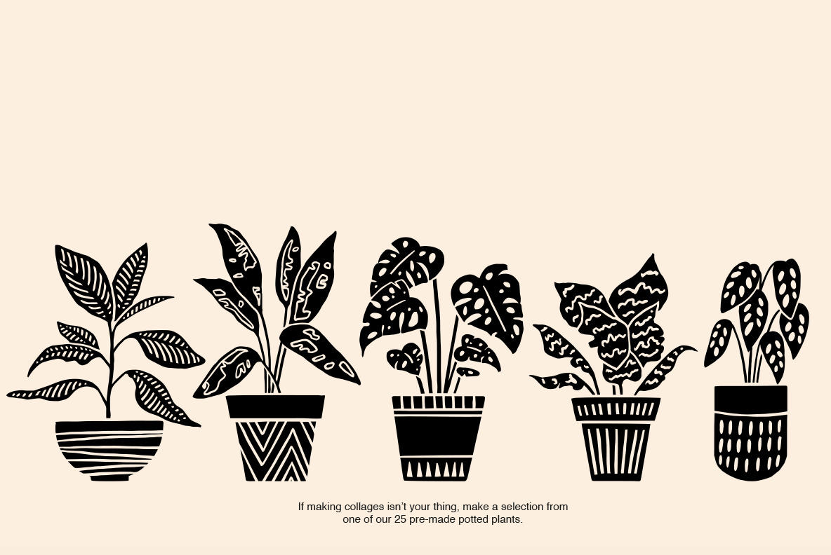 Potted Plants